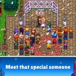 Stardew Valley Meet Your Special One